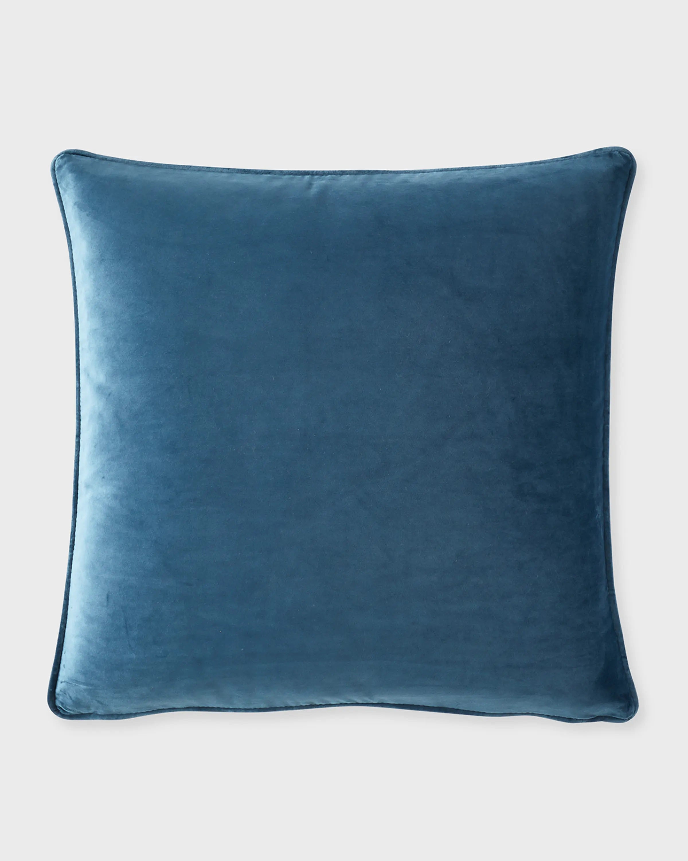 Cloe 20X20 Velvet Pillow