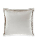 Shiney Velvet 20X20 Pillow
