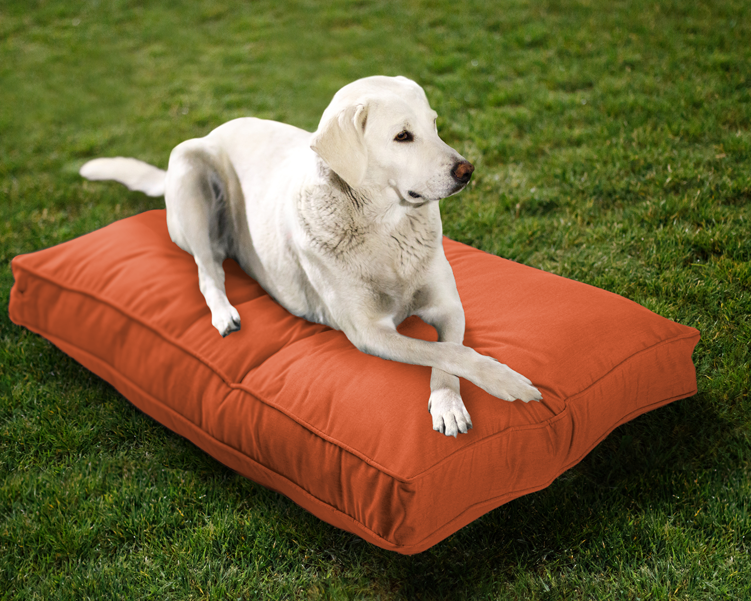 Sunbrella Reversible Indoor/Outdoor Mattress Pet Bed