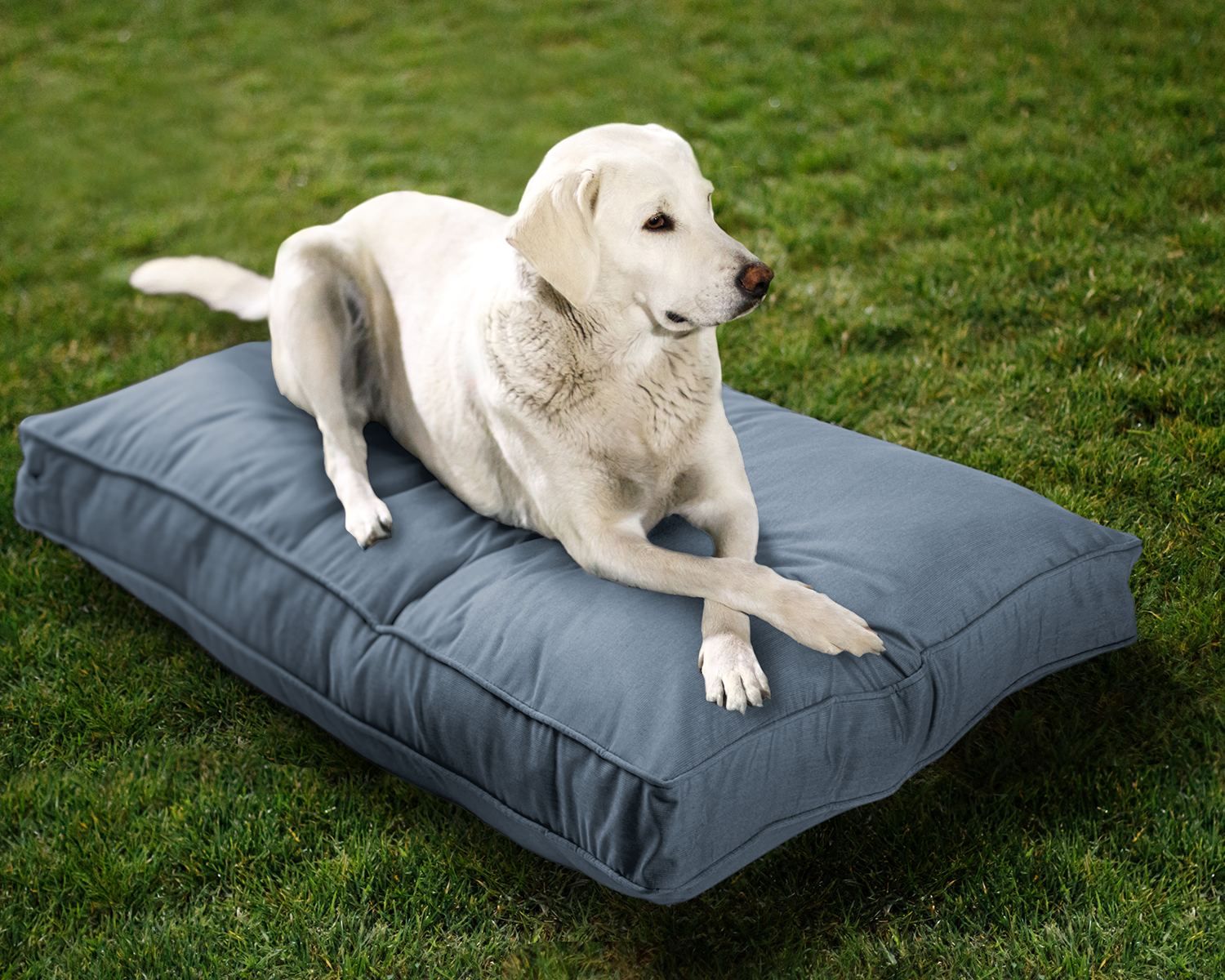 Sunbrella Reversible Indoor/Outdoor Mattress Pet Bed