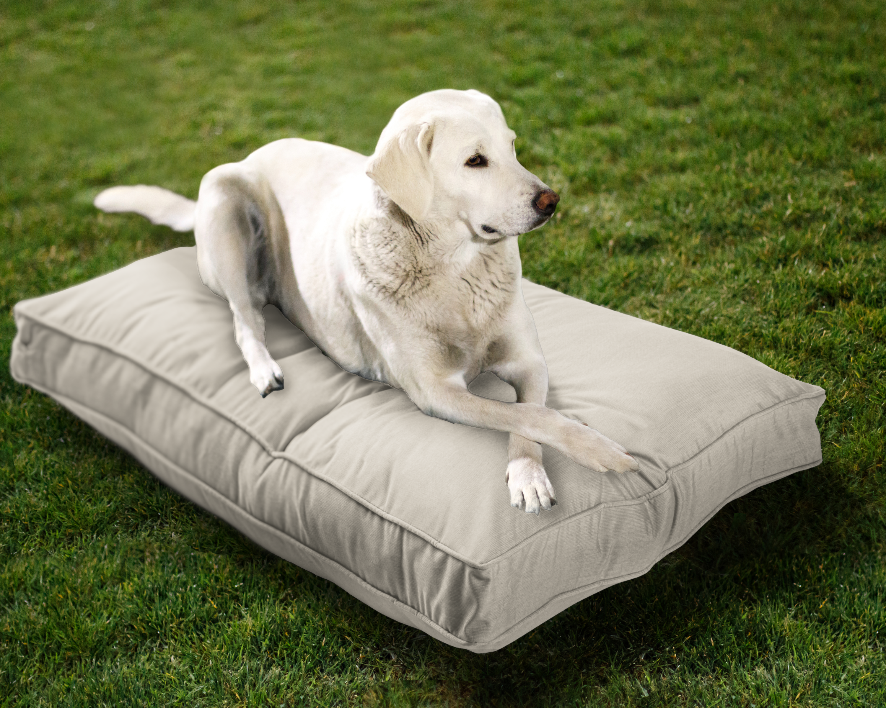 Sunbrella Reversible Indoor/Outdoor Mattress Pet Bed