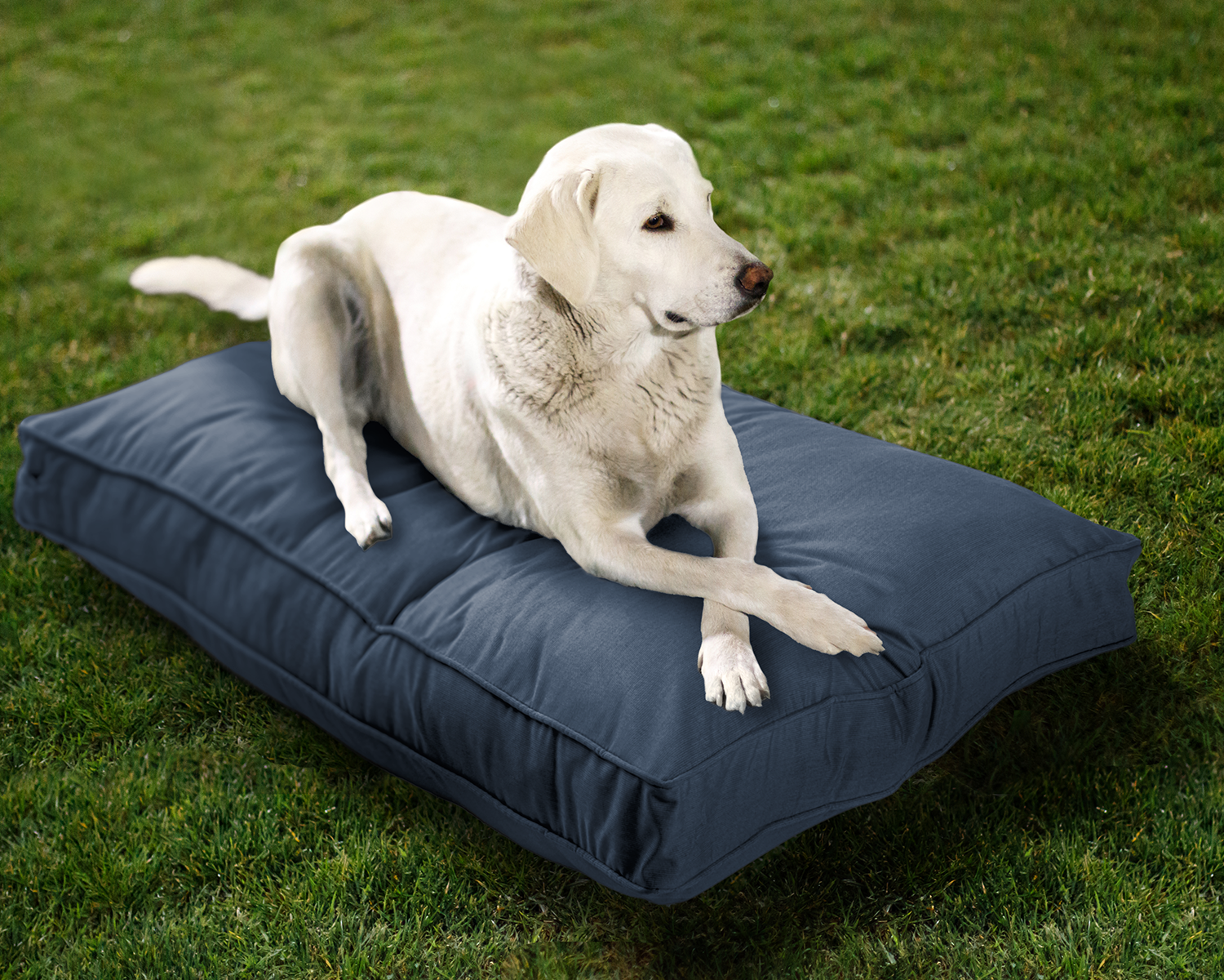 Sunbrella Reversible Indoor/Outdoor Mattress Pet Bed