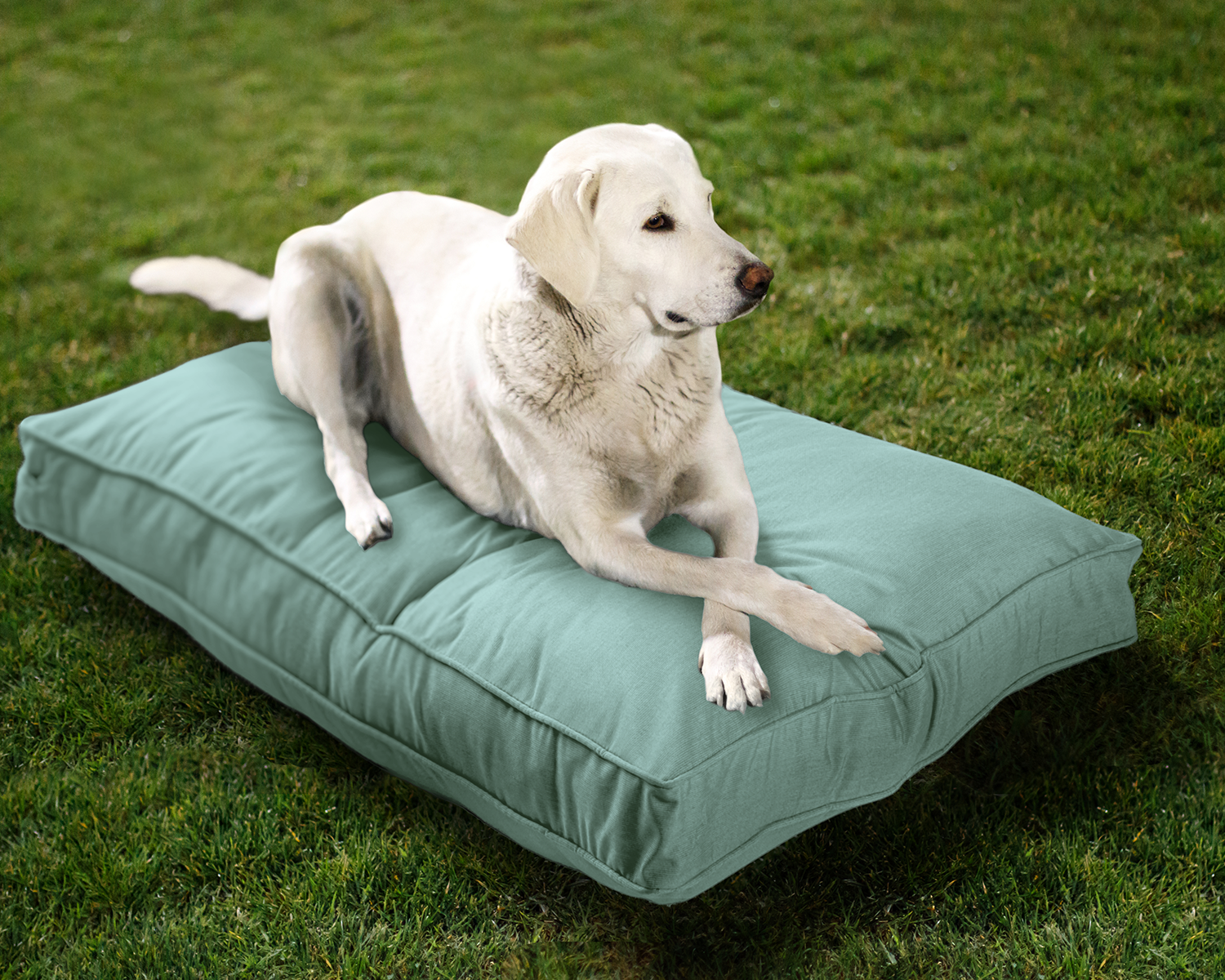 Sunbrella Reversible Indoor/Outdoor Mattress Pet Bed