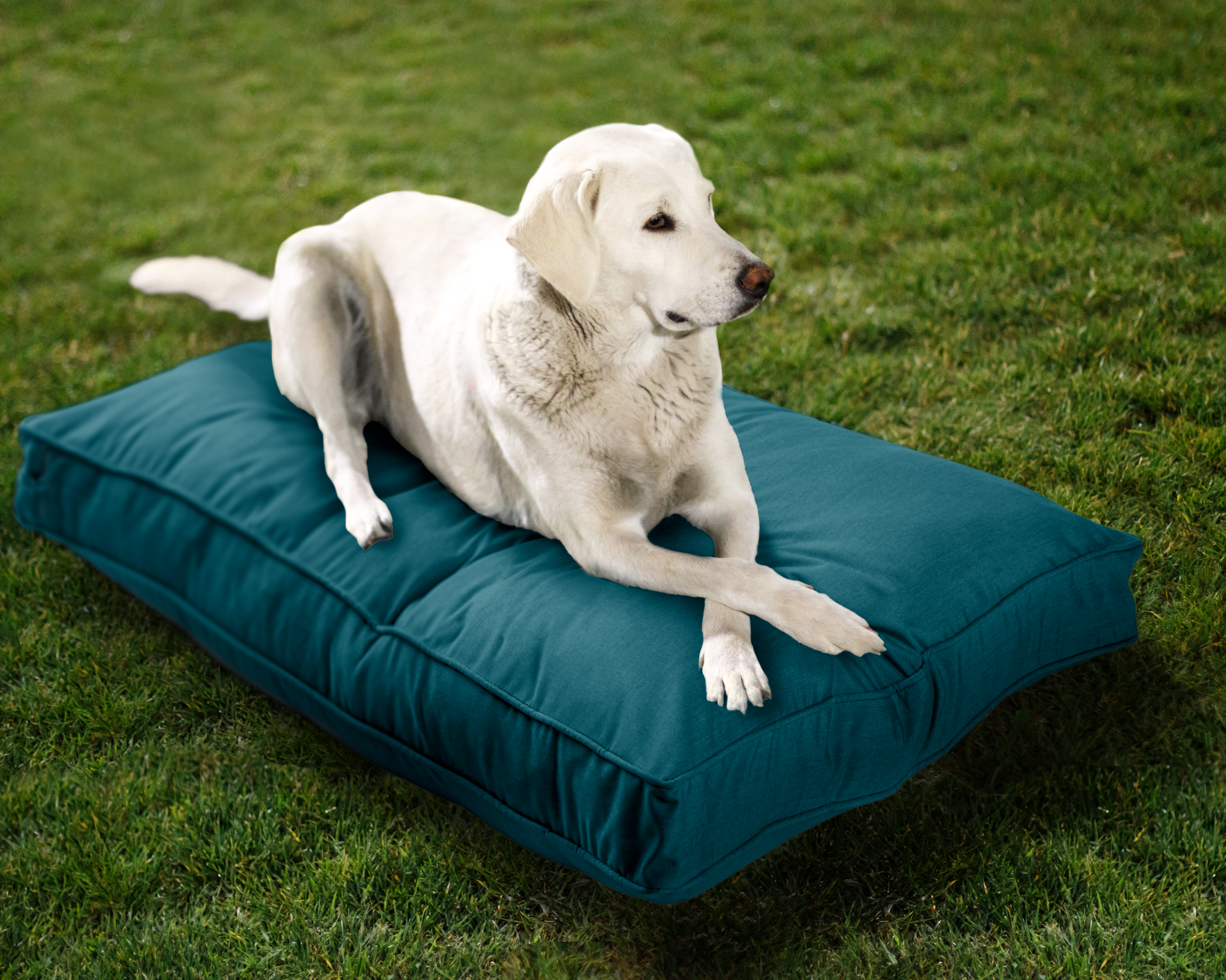 Sunbrella Reversible Indoor/Outdoor Mattress Pet Bed