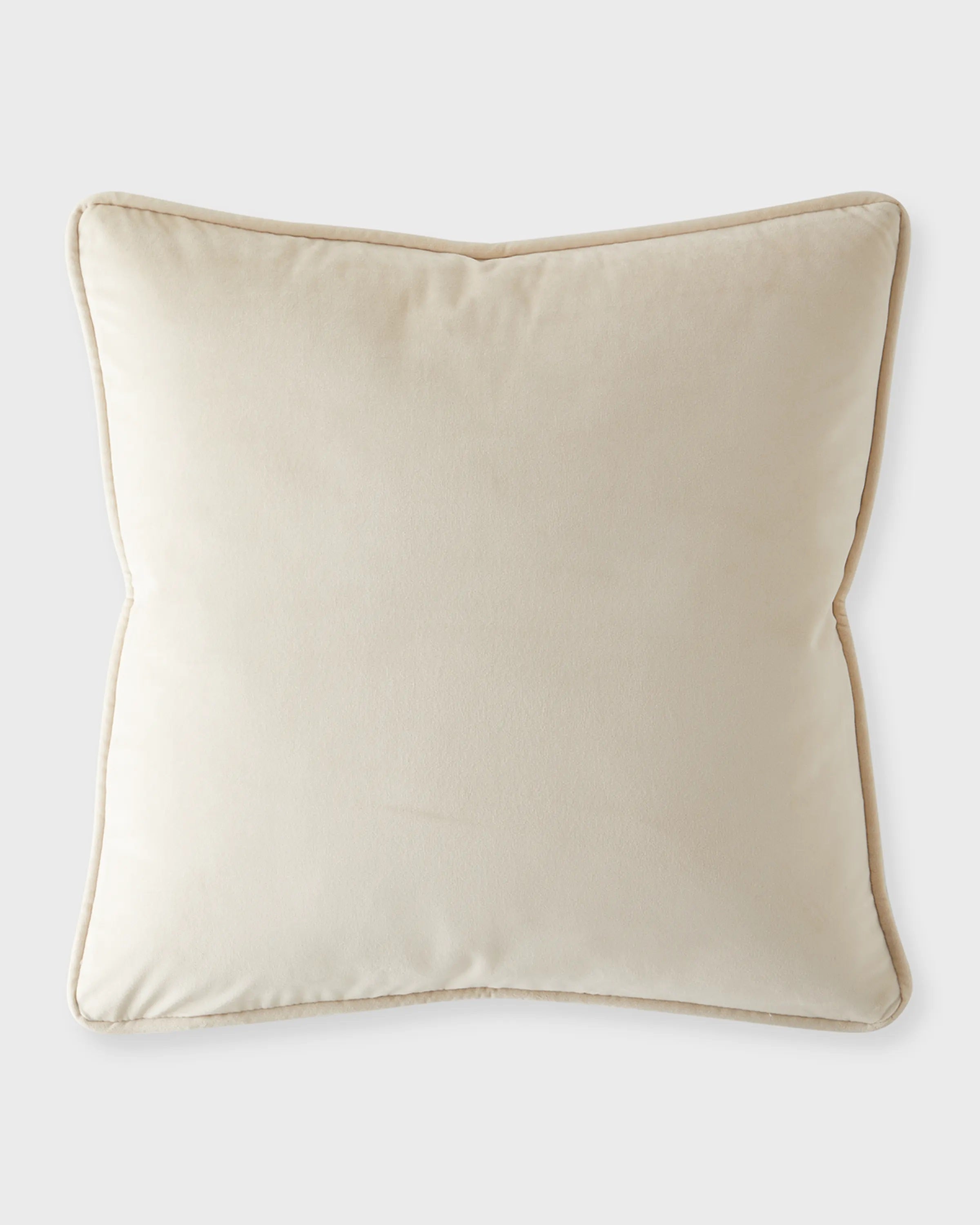 Velvet 20X20 Pillow
